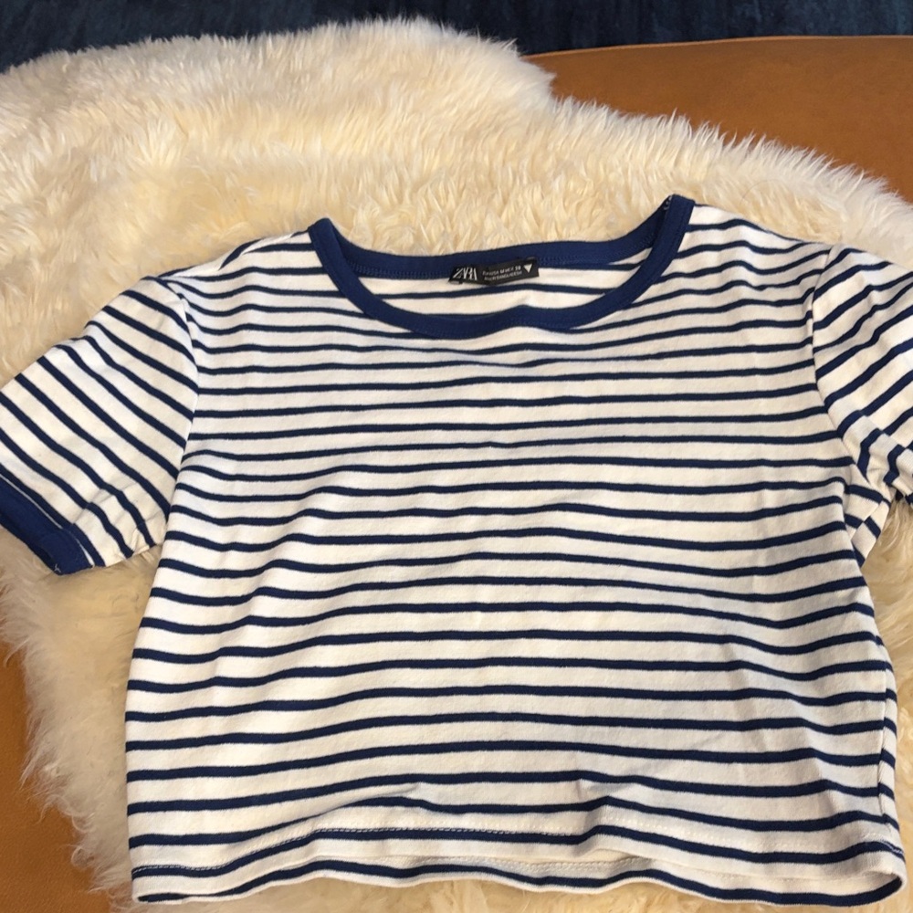 Zara White and Navy Striped Crop Tee